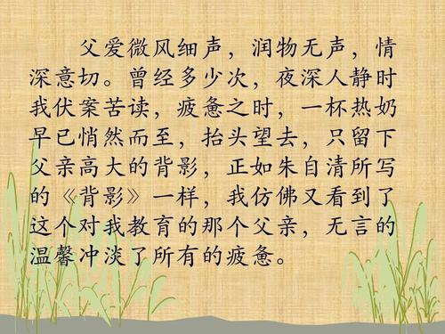 写父亲的作文