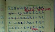 描写雪的作文800字