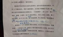 梅花的作文300字