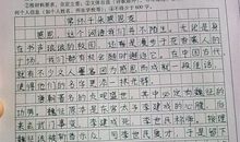 关于爱的中考满分作文