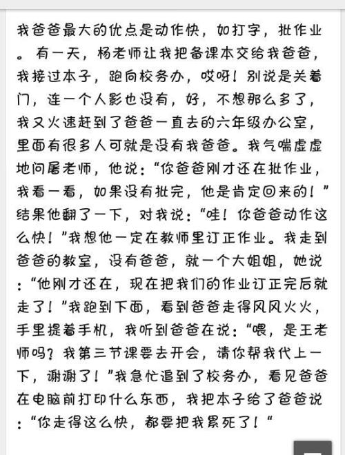 我父亲600字作文