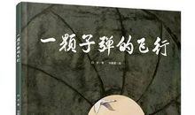 送你一颗子弹读后感