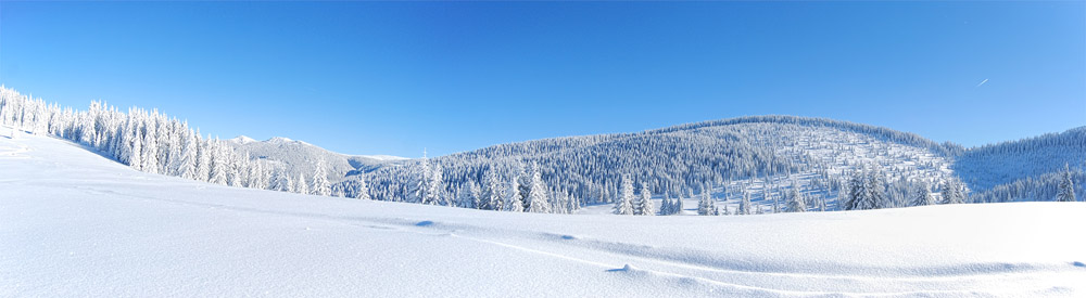 冬雪景构图400字