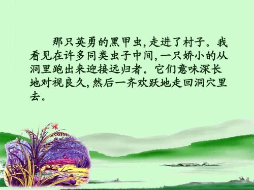 看完草丛村