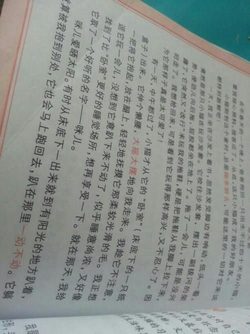 一年级作文中关于爱情的500个单词