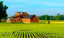 田园风光作文200字