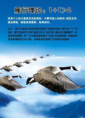 看完团队精神