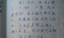胜似亲人作文500字