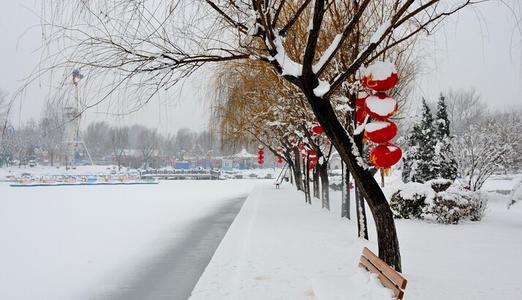 雪组成