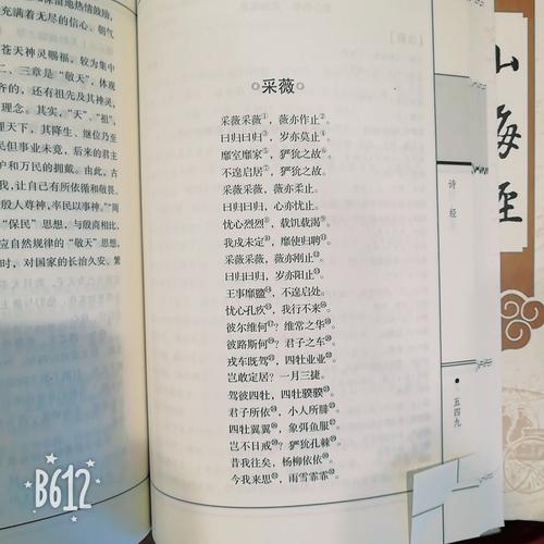 天真的想法