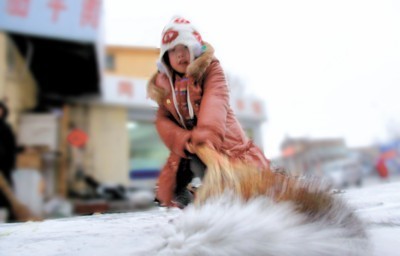校园扫雪组成