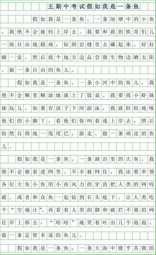 五年级期中考试作文