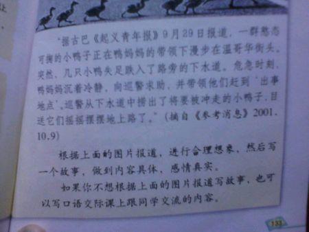 500字李子组成