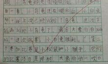运动会作文50字