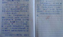 胜似亲人作文600字