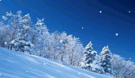 小学组成扫雪