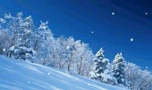 小学生作文扫雪