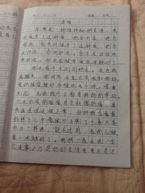 关于爱的600字