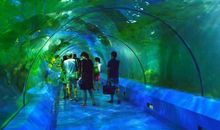 游北京海洋馆作文