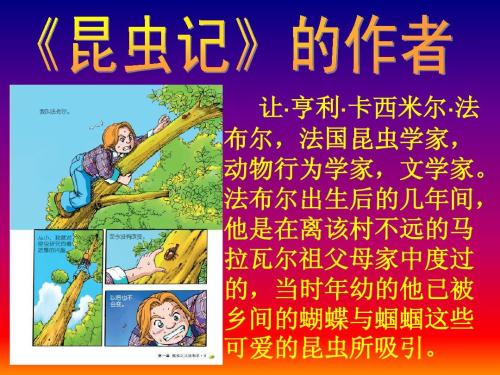 阅读昆虫符号法布尔