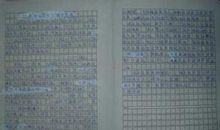 运动会作文1000字