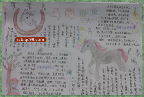 描述马的组成