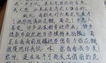描写梅花的作文150字