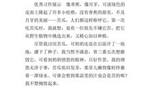 生活启示作文600字