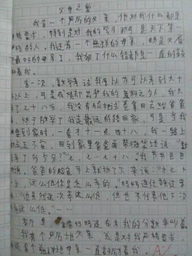 赞美母爱的作品