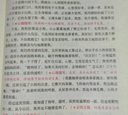 每周日记350字