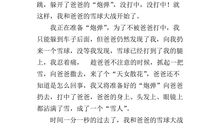 描写下雪的作文