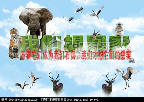 阅读有关拯救濒危动物的信息后