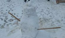 小学生作文下雪