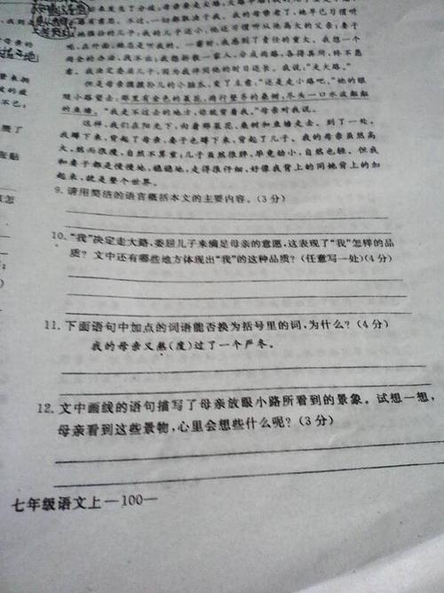 600字步行组成