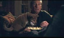 八公的故事读后感