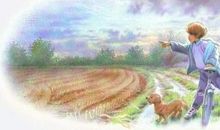 玛蒂娜和流浪猫读后感