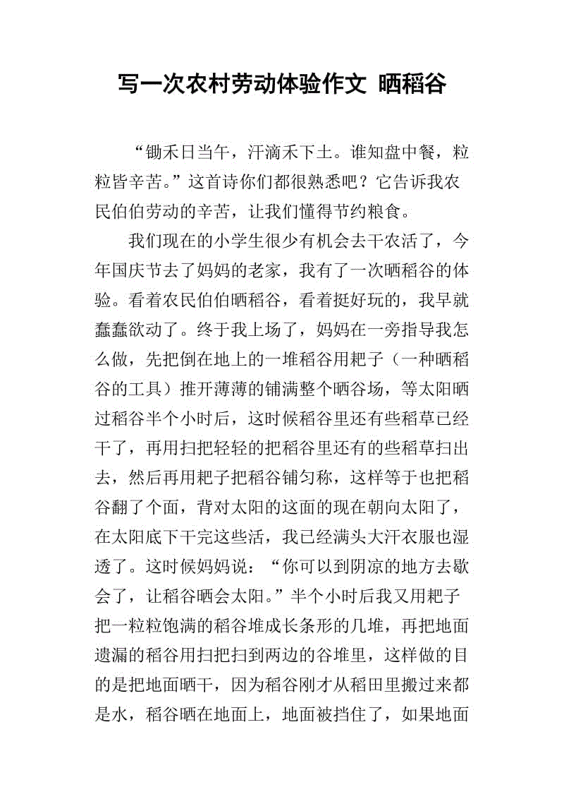 关于体验活动的组成