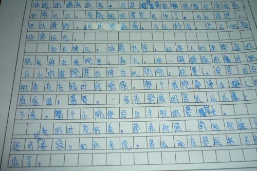奶奶的手作文400字