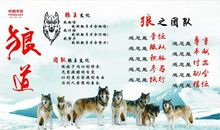 励志人物读后感