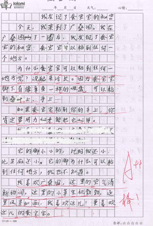 快乐成长组成