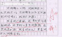 快乐的成长作文