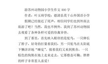 动物园作文400字