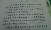 毕业前的感想作文