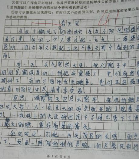 游泳测试成分