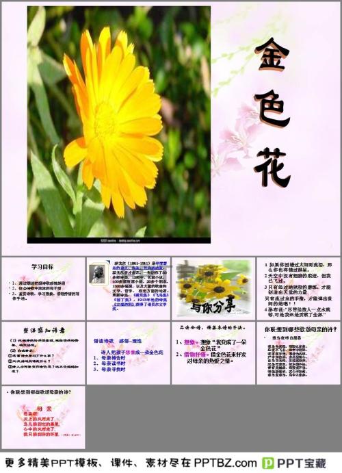 金花