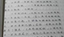 走出烦恼作文600字