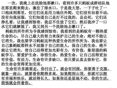 作文热爱生活