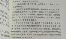 跑猪噜噜读后感