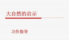 大自然的启示300字