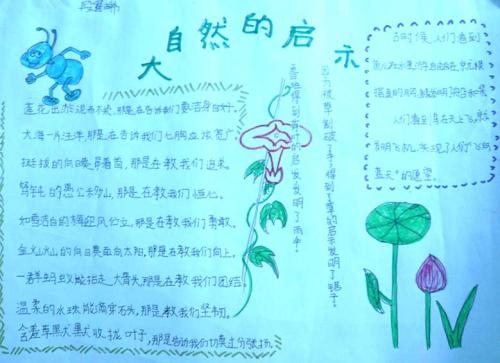 600字来自自然的灵感